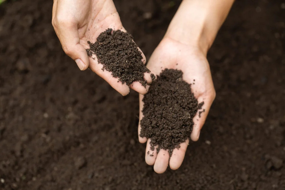 Reliable Vermicompost Fertilizer Supplier in Bahrain – Sowgreen