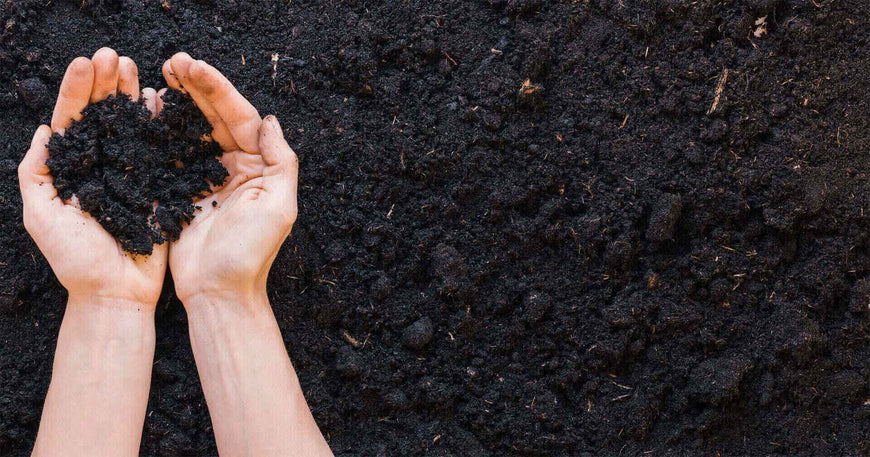 Choosing a Reliable Vermicompost Fertilizer Exporter in Oman