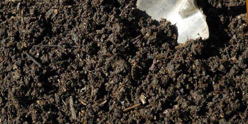 Finding the Best Vermicompost Fertilizer Supplier in Oman