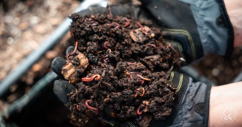 Choosing the Right Vermicompost Supplier in Germany for Your Farm