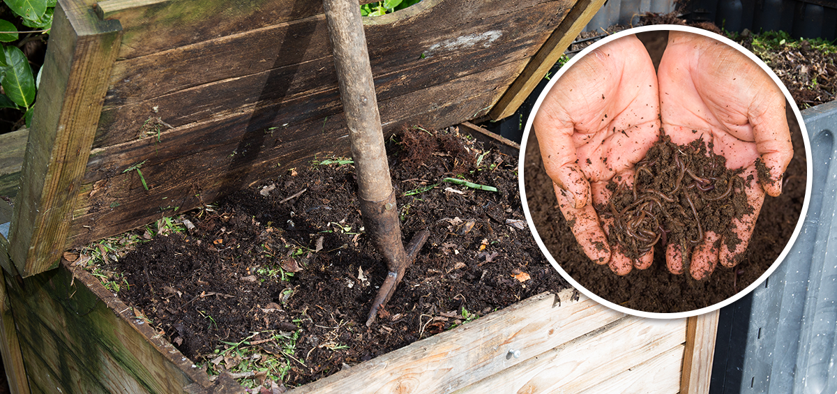 Exporting Sustainability: Vermicompost Fertilizer Suppliers in Africa