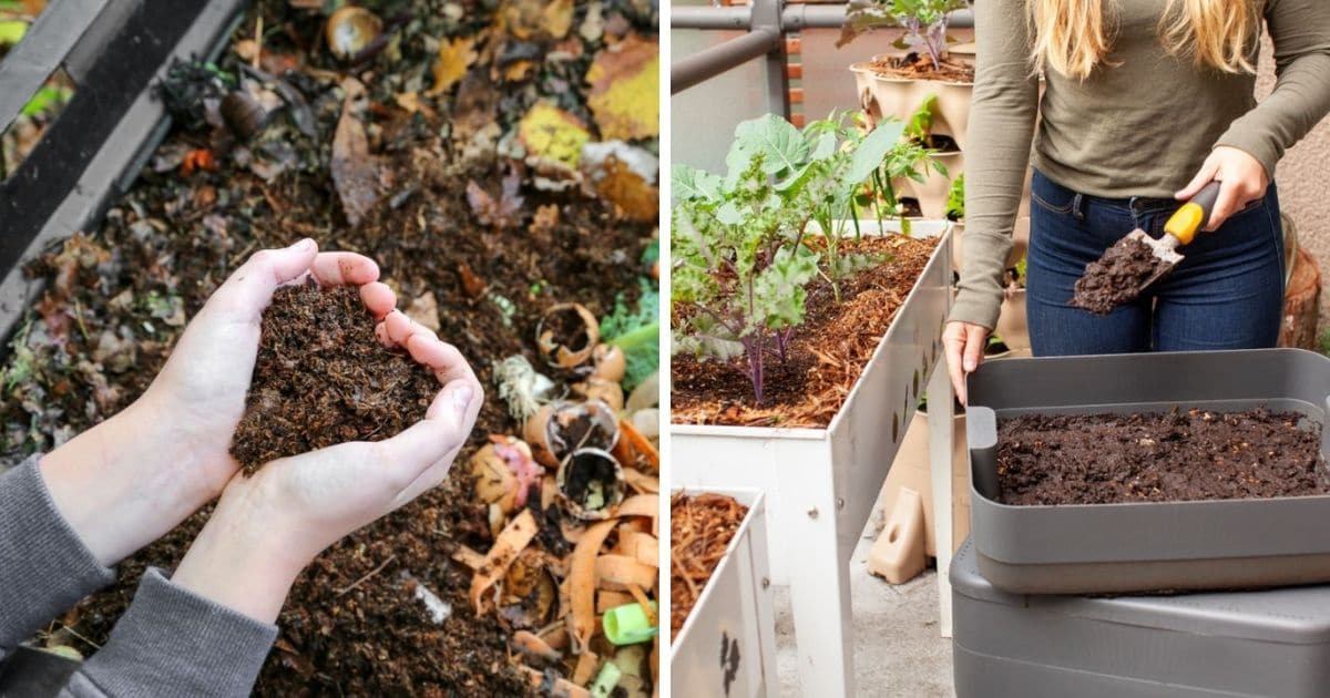 How to Find Quality Vermicompost Suppliers for African Agriculture?