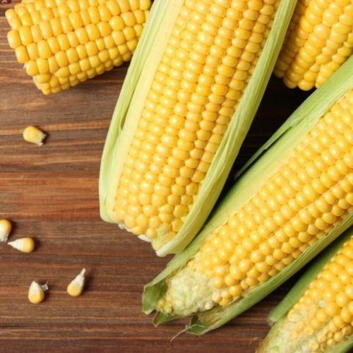 Corn